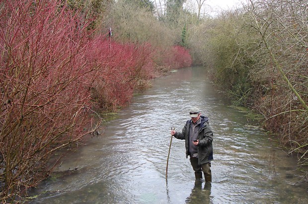 Plotting Trout Redds