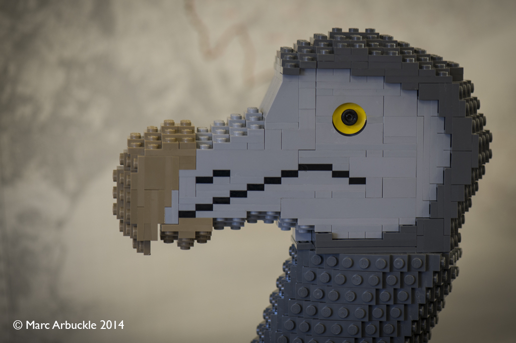 Detail of lego dodo