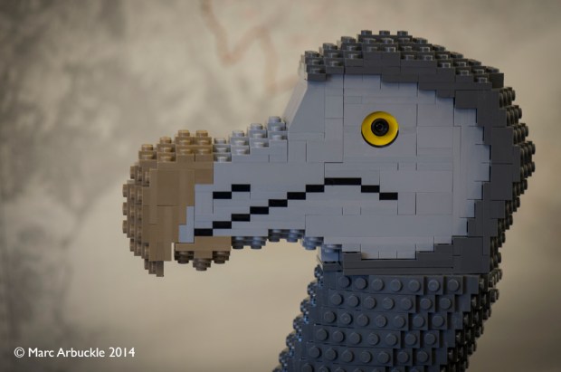 Detail of lego dodo